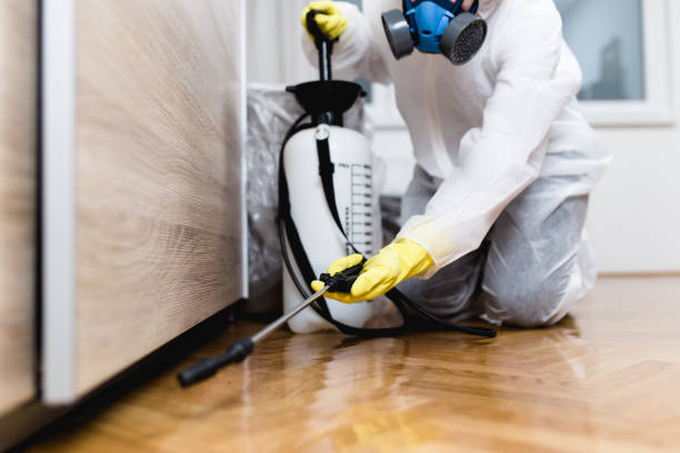 Insect Control in Newport, SC