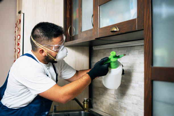 Best Emergency Pest Control  in Newport, SC