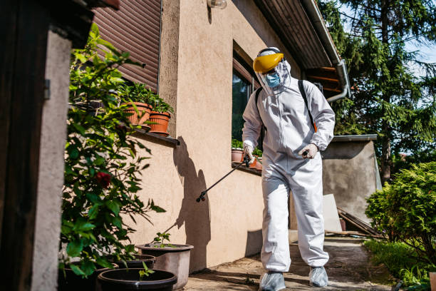 Best Exterminator Services  in Newport, SC