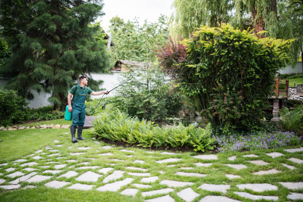 Best Exterminator Services  in Newport, SC