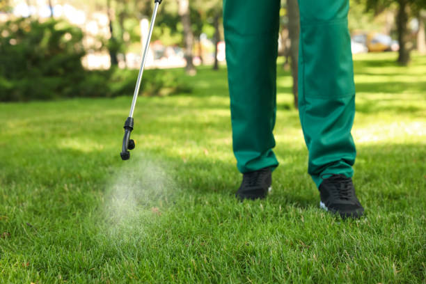 Best Residential Pest Control  in Newport, SC