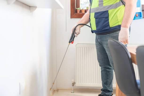 Best Wasp Removal Services  in Newport, SC