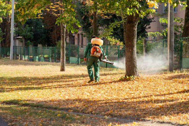 Best Wildlife Control Services  in Newport, SC