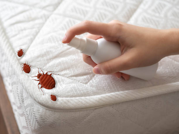 Pest Prevention Services in Newport, SC