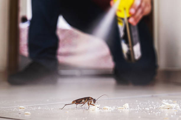 Professional Pest Control in Newport, SC