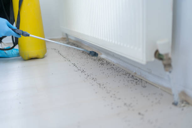 Best Affordable Pest Control Services  in Newport, SC