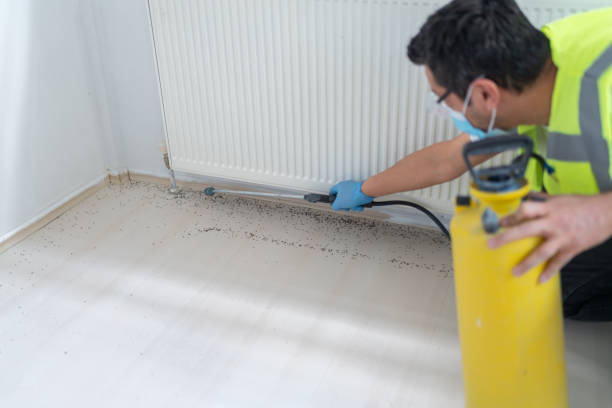 Best Pest Inspection Near Me  in Newport, SC