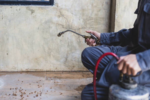 Best Pest Removal Services  in Newport, SC